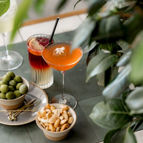 A stylish tabletop with cocktails, olives, almonds, and a lime garnish seen through leafy greens, set for a relaxed social moment.