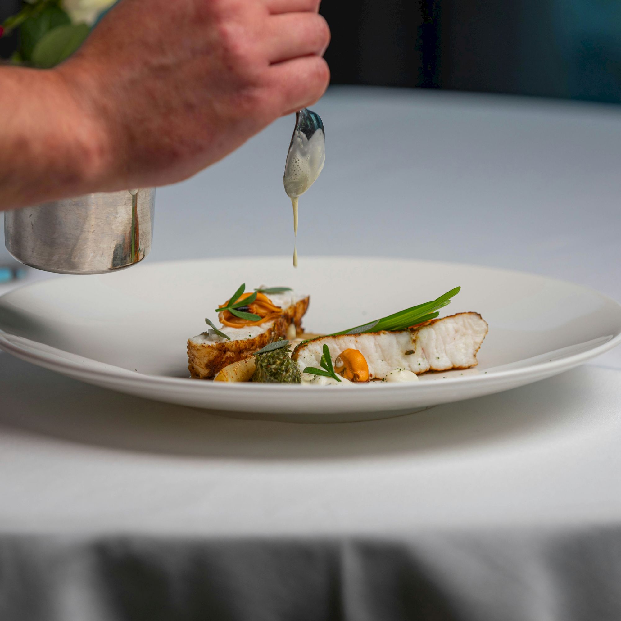 A chef drizzles sauce over a plated gourmet dish with small seared pieces and greens on a white plate.